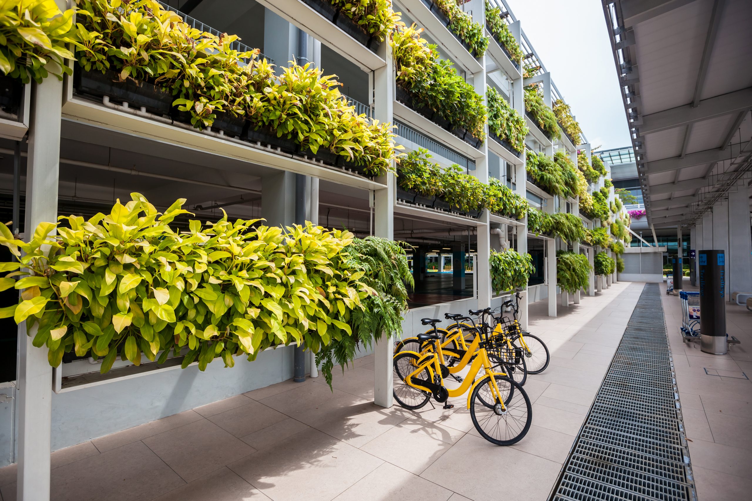 Yellow Bicycle rental in Singapore